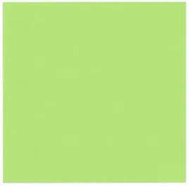 serwetki-papierowe-urodzinowe-zielone-10szt