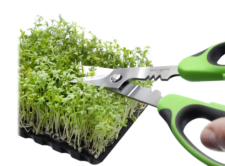 nozyce-do-ziol-herby-dlugosc-150-cm