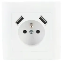 wesa-gniazdo-pojedyncze-z-uziemieniem-2-x-usb