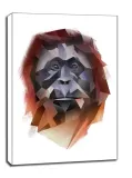 orangutan-obraz-na-plotnie-61x915-cm