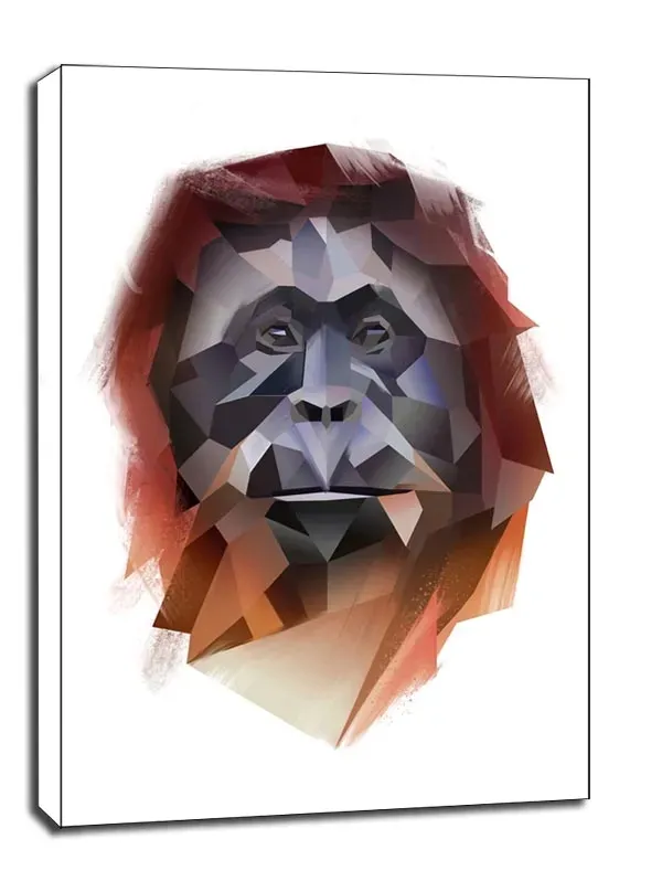 orangutan-obraz-na-plotnie-61x915-cm