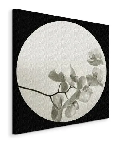 orchid-ii-obraz-na-plotnie-60x60-cm