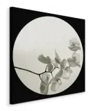 orchid-ii-obraz-na-plotnie-60x60-cm