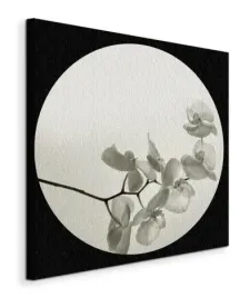 orchid-ii-obraz-na-plotnie-60x60-cm