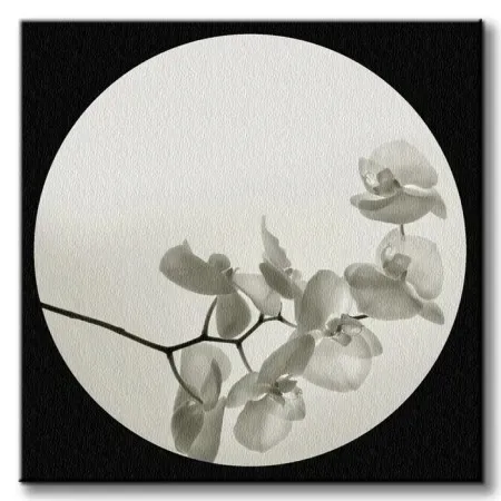 orchid-ii-obraz-na-plotnie-60x60-cm-stan-nowy