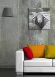 owca-obraz-na-plotnie-40x40-cm-stan-nowy