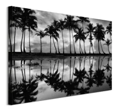 palm-reflection-obraz-na-plotnie-80x60-cm