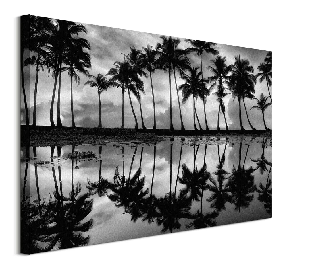 palm-reflection-obraz-na-plotnie-80x60-cm