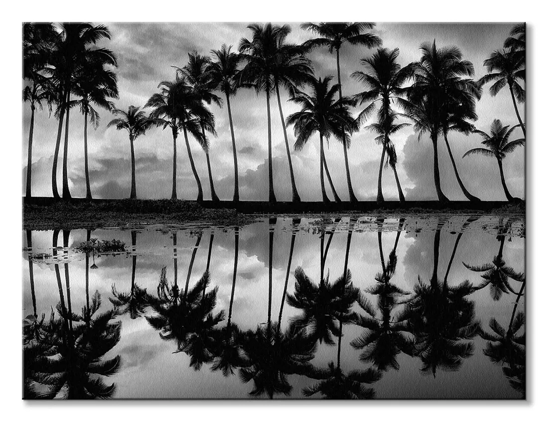 palm-reflection-obraz-na-plotnie-80x60-cm