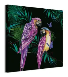parrots-obraz-na-plotnie-60x60-cm