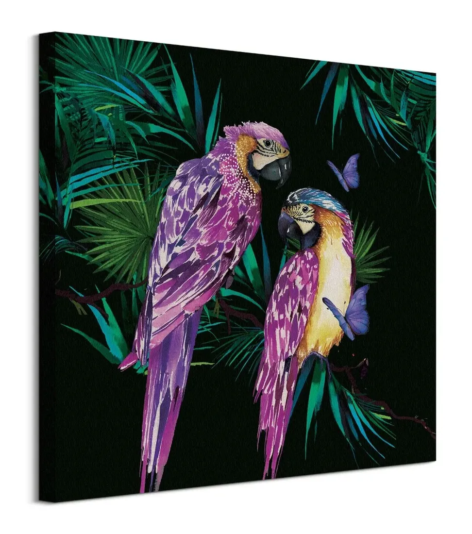 parrots-obraz-na-plotnie-60x60-cm-stan-nowy