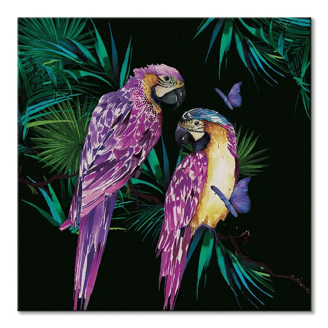 parrots-obraz-na-plotnie-60x60-cm