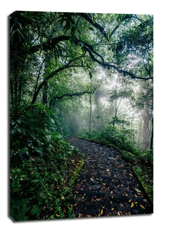 path-obraz-na-plotnie-20x30-cm-stan-nowy