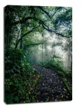 path-obraz-na-plotnie-70x100-cm