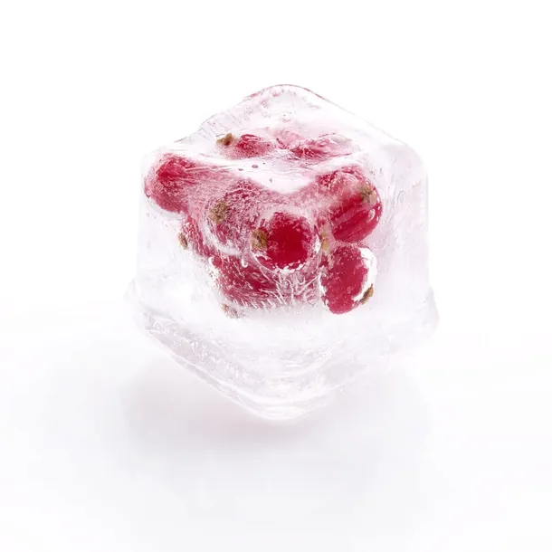 kostkarka-do-lodu-z-pokrywka-cube-stan-nowy