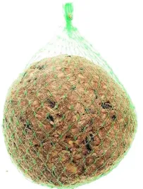 kula-tluszczowa-pokarm-karma-ziarno-dla-dzikich-ptakow-500g