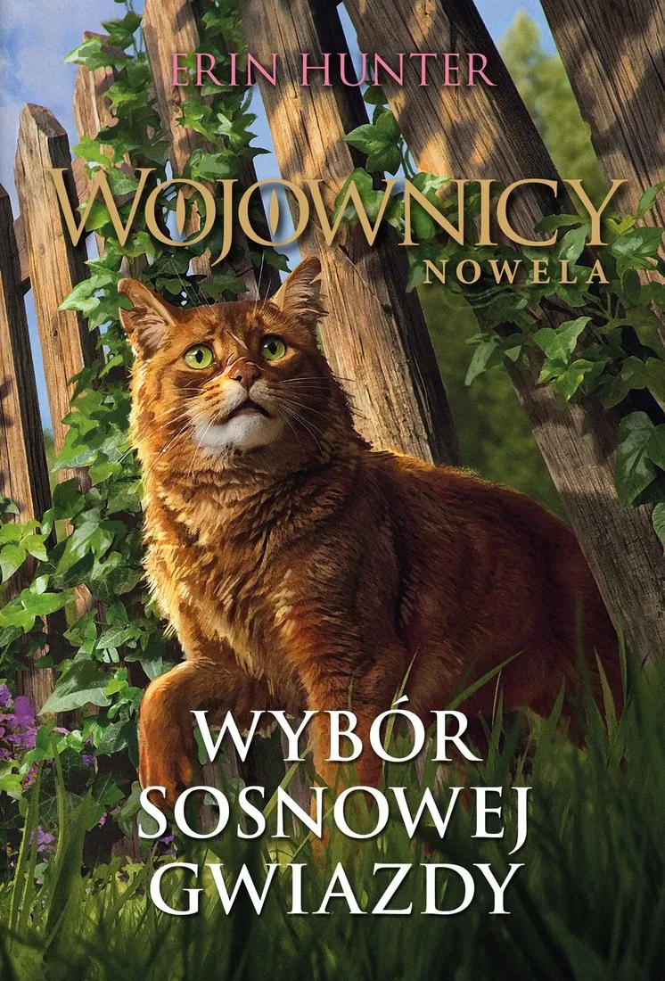 wybor-sosnowej-gwiazdy