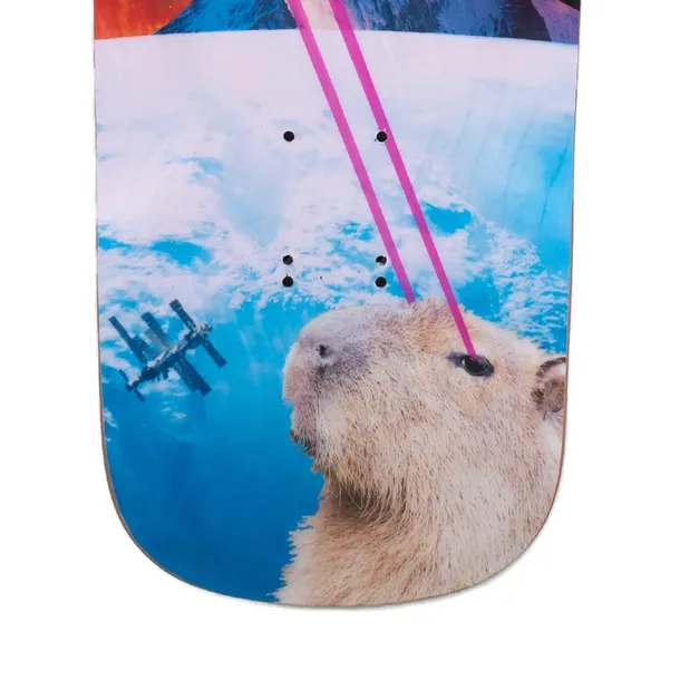 deck-capybara-collage-switch-longboards-cruiser-stan-nowy