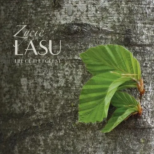 zycie-lasu