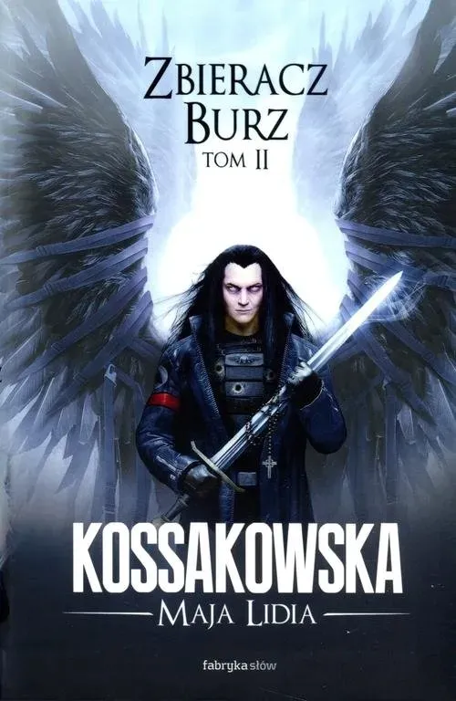 zbieracz-burz