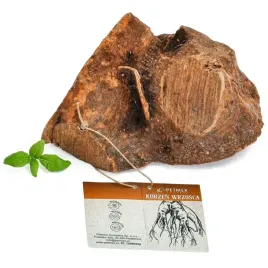 naturalny-gryzak-dla-szczeniat-korzen-wrzosca-malego-psa-petmex