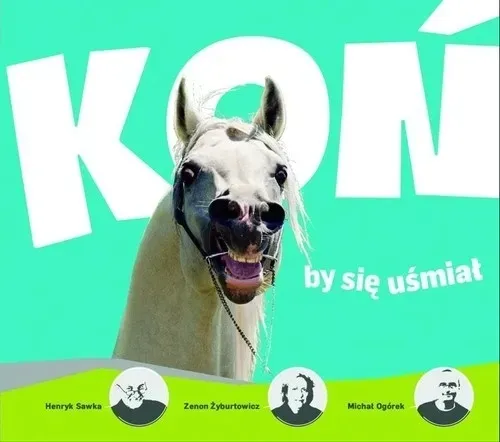 kon-by-sie-usmial