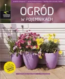 ogrod-w-pojemnikach