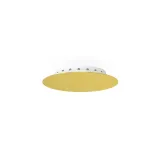 cameleon-canopy-a-mini