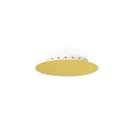 cameleon-canopy-a-mini
