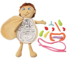 zabawka-pluszowa-narzady-anatomia-zabawki-dla-dzieci-miekka-lalka
