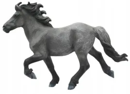 kon-blue-dun-icelandis-staillion