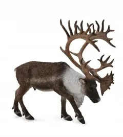 renifer-woodland-caribou