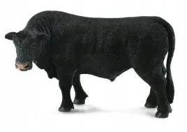 byk-czarny-angus