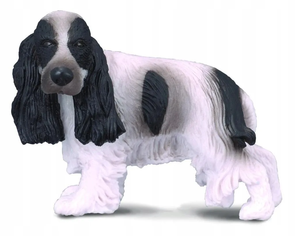 pies-cocker-spaniel-angielski