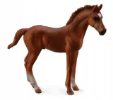 zrebie-thoroughbred-foal-standing-chesnut