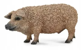 swinia-wegierska-mangalica