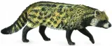 kot-wiwera-civet-african