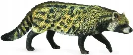 kot-wiwera-civet-african