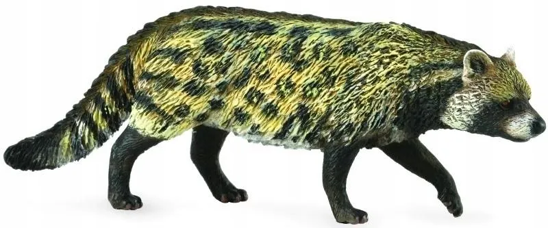 kot-wiwera-civet-african