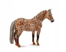 klacz-british-spotted-pony-masci-kasztan-leopard