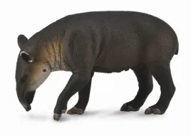 tapir-ciele-bairda