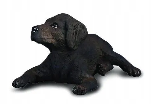 pies-labrador-szczenie