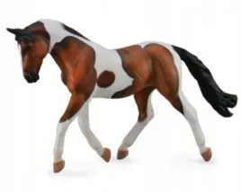 kon-pinto-mare-gniady