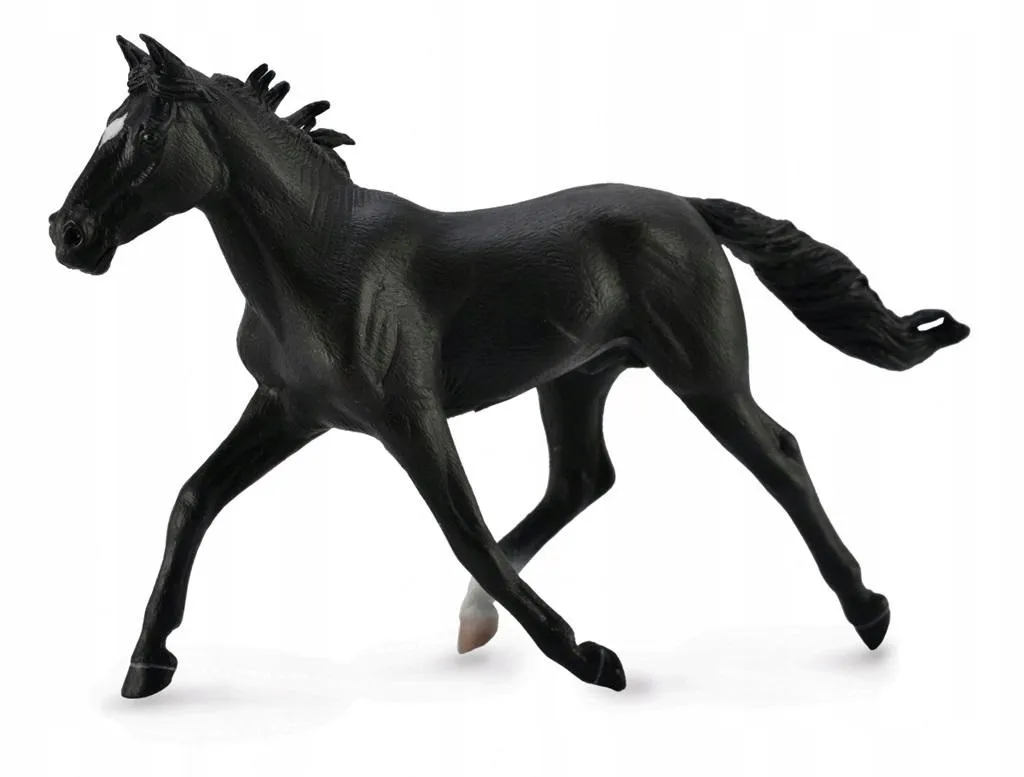 ogier-standardbred-pacer-czarny