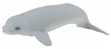 wieloryb-beluga-mlode