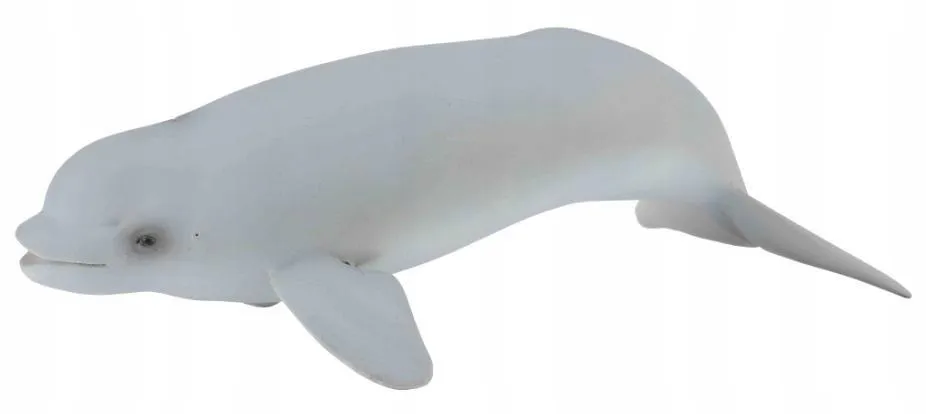 wieloryb-beluga-mlode