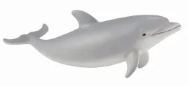 delfin-butlonosy-mlody