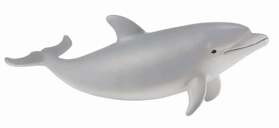 delfin-butlonosy-mlody