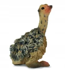 figurka-mlodego-strusia-collecta-realistyczna-replika-zwierzecia-3