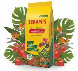 ziemia-strelicji-monstery-alokazji-fikusa-juk-palm-dracen-krotona-paproci